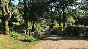 Un sendero de grava bordeado por abundante vegetación y árboles, que conduce a una zona sombreada.