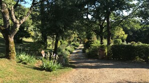 Property grounds - Relaxing Retreat with Personalized Chef Cooking Class & Relaxation Services (Provincia di Siena)