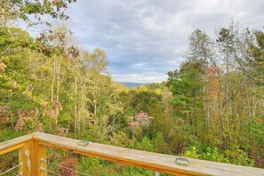 Property grounds - Ski Asheville! Mountain-View Hideaway w/ Deck (Asheville)