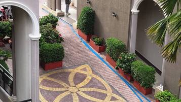 Terrein van de accommodatie