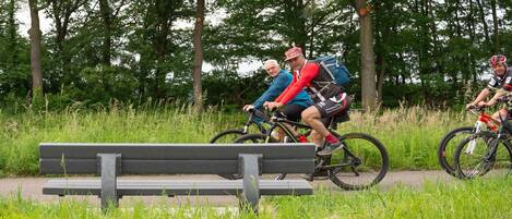 Three cyclists on a path with a bench in the foreground.