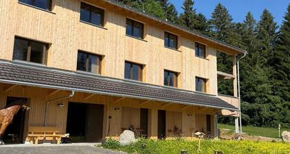 Dog-friendly holiday apartment in Bregenzerwald