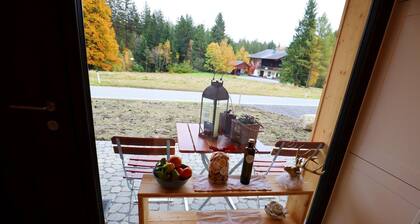 Dog-friendly holiday apartment in Bregenzerwald