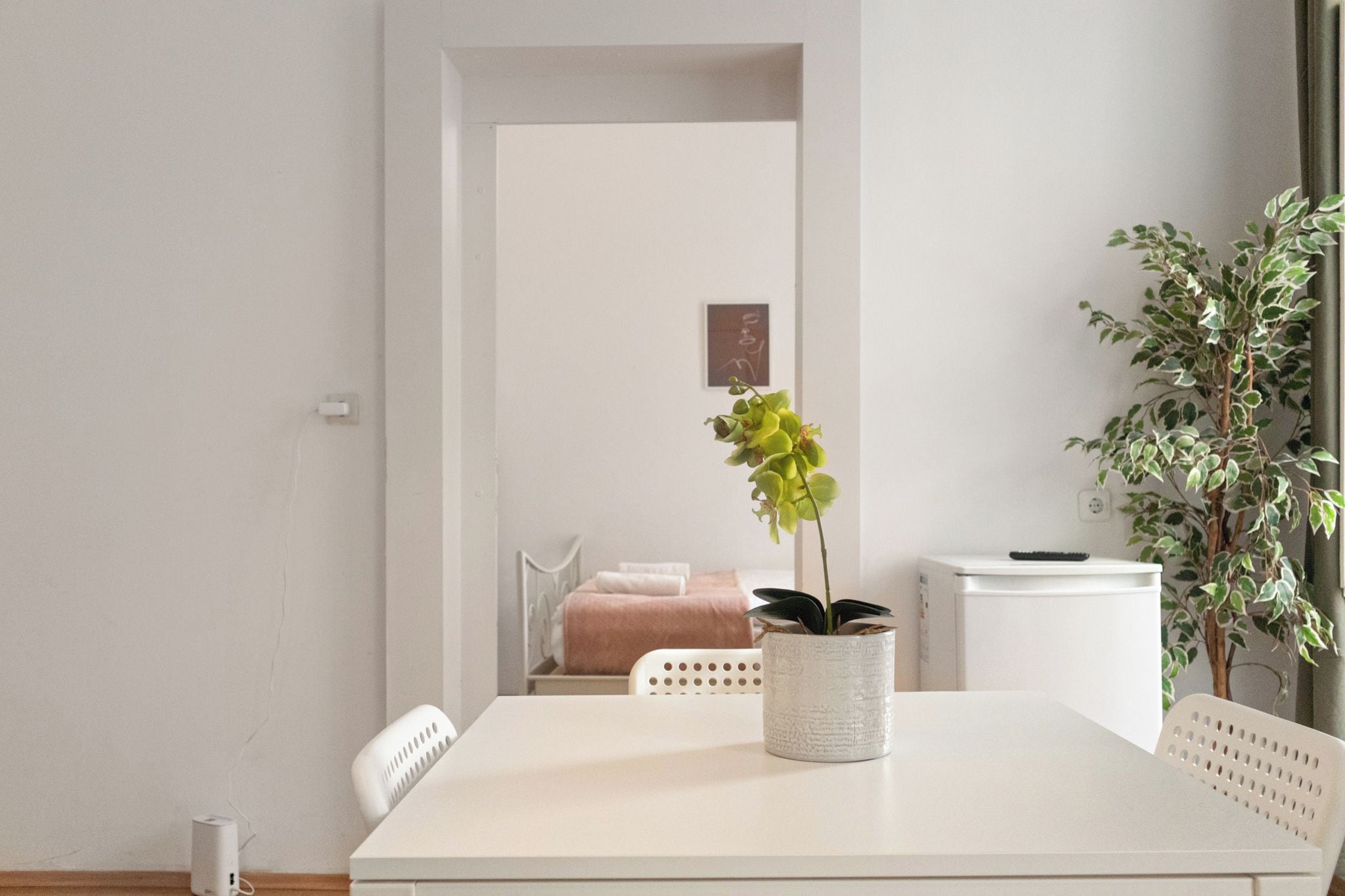 A minimalist room with a white table, a potted plant, and a bed with a pink blanket.