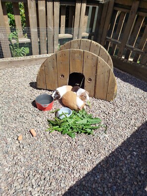 Enceinte de lâhĂ©bergement