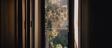Una vista dalla finestra con alberi sullo sfondo.
