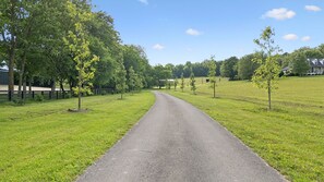 Property grounds - Lux Franklin Fam Home| 15 Acres w Pond & Game Room (Franklin)