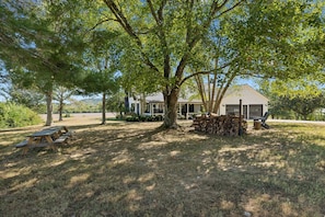 A large tree in a grassy area with a building in the background.