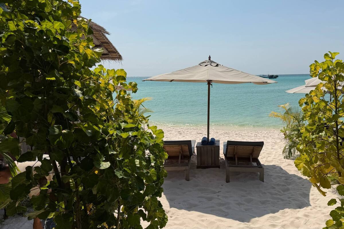 Vista a la playa con una mesa y sillas bajo una pérgola, rodeado de follaje.