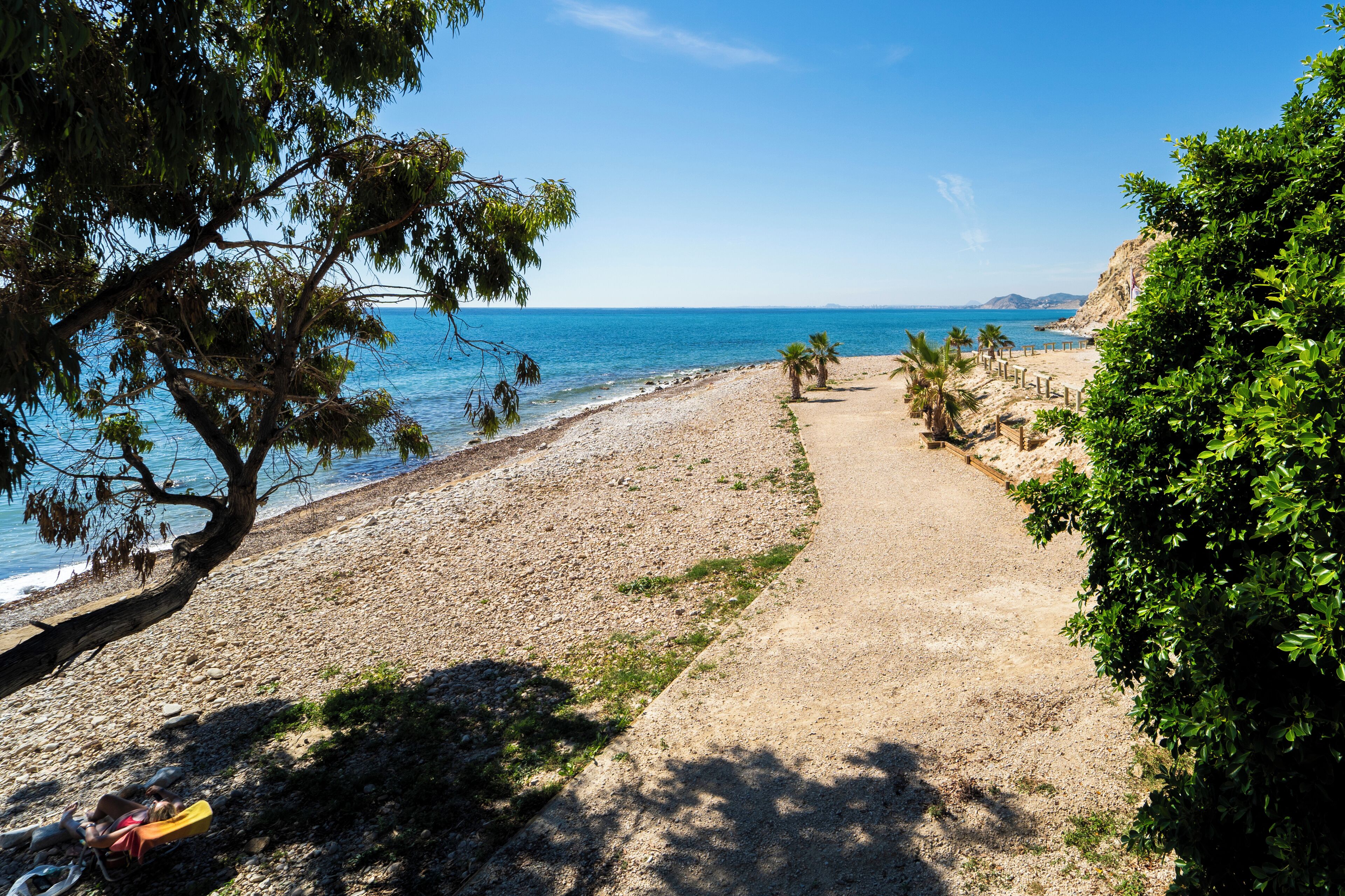 A beach with a dirt path, palm trees, and a clear blue sky.