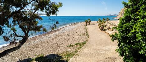 A beach with a dirt path, palm trees, and a clear blue sky.