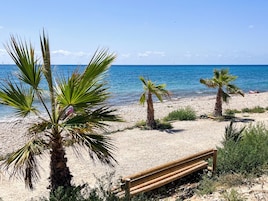 Una playa con palmeras, un banco de madera y el océano.
