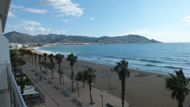 Una playa con palmeras y un paseo marítimo.
