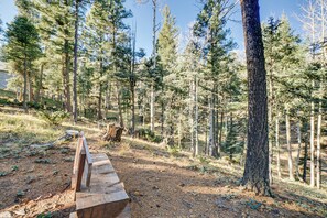 Property grounds - LOG cabin, views from deck, families, pool table (Angel Fire)