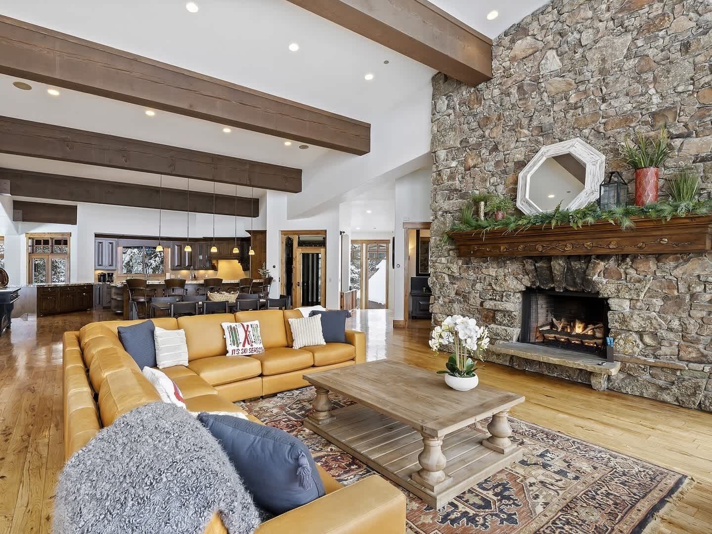 TV, fireplace, video games, books