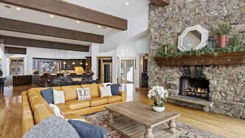 TV, fireplace, video games, books
