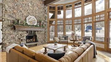 TV, fireplace, video games, books