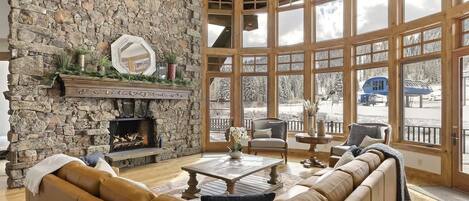 TV, fireplace, video games, books