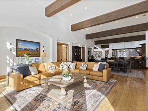 TV, fireplace, video games, books