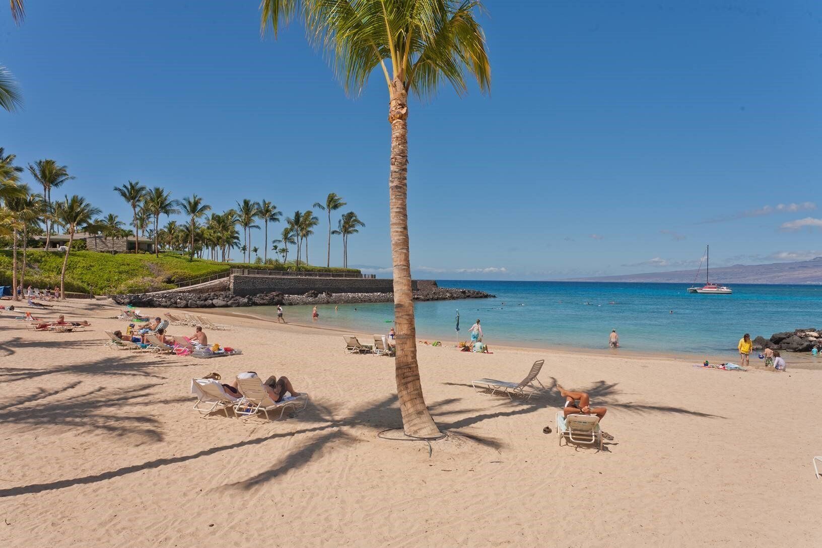 A beach with palm trees, sun loungers, and a clear blue sky.