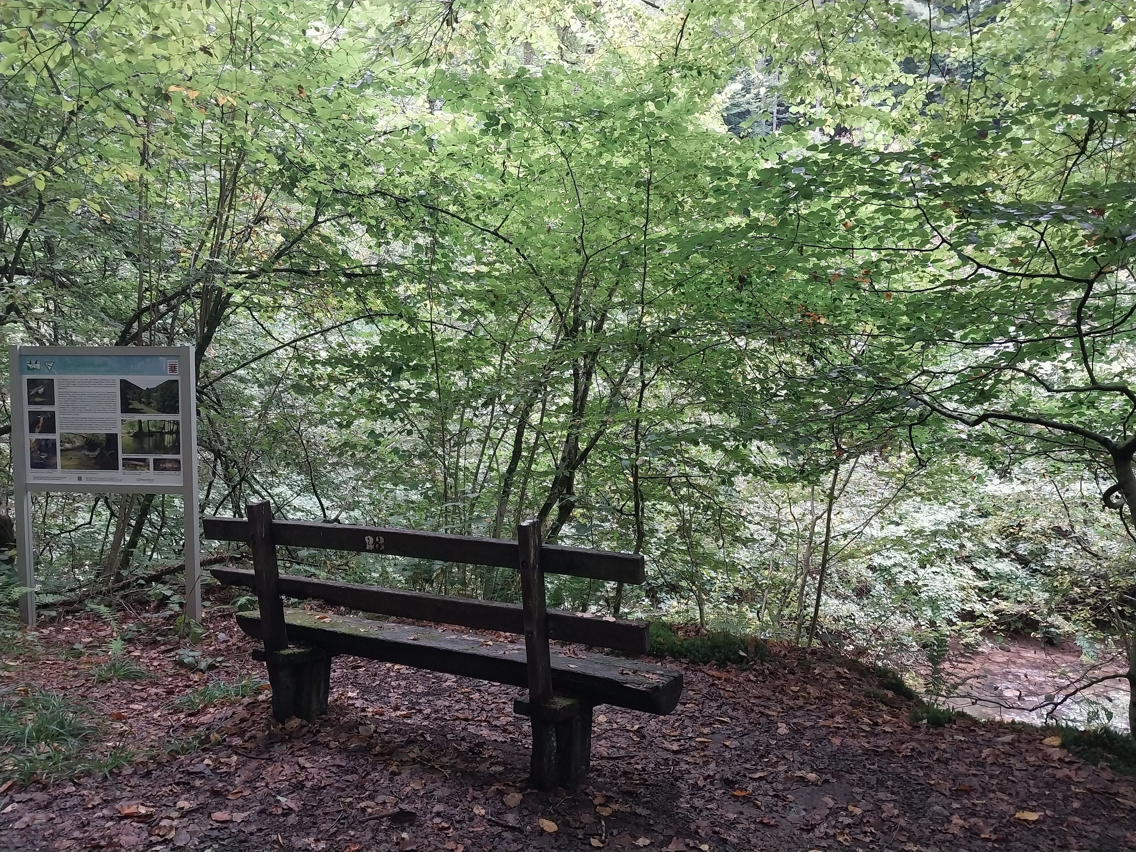 A wooden bench in a wooded area with a signboard in the background.
