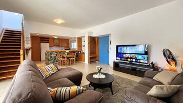 TV