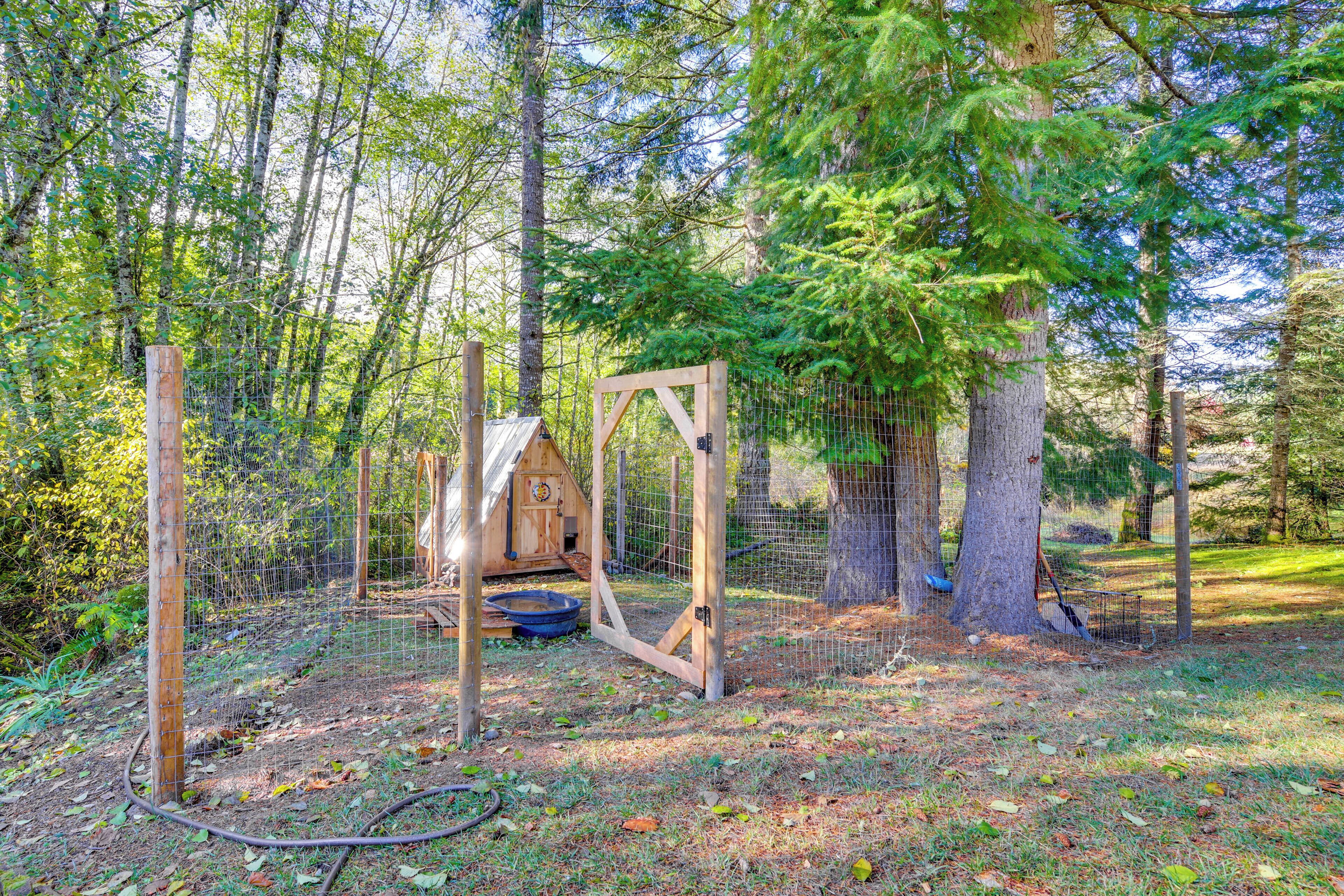 A fenced outdoor area with a wooden structure, possibly a playhouse or storage shed, surrounded by trees and natural ground cover.