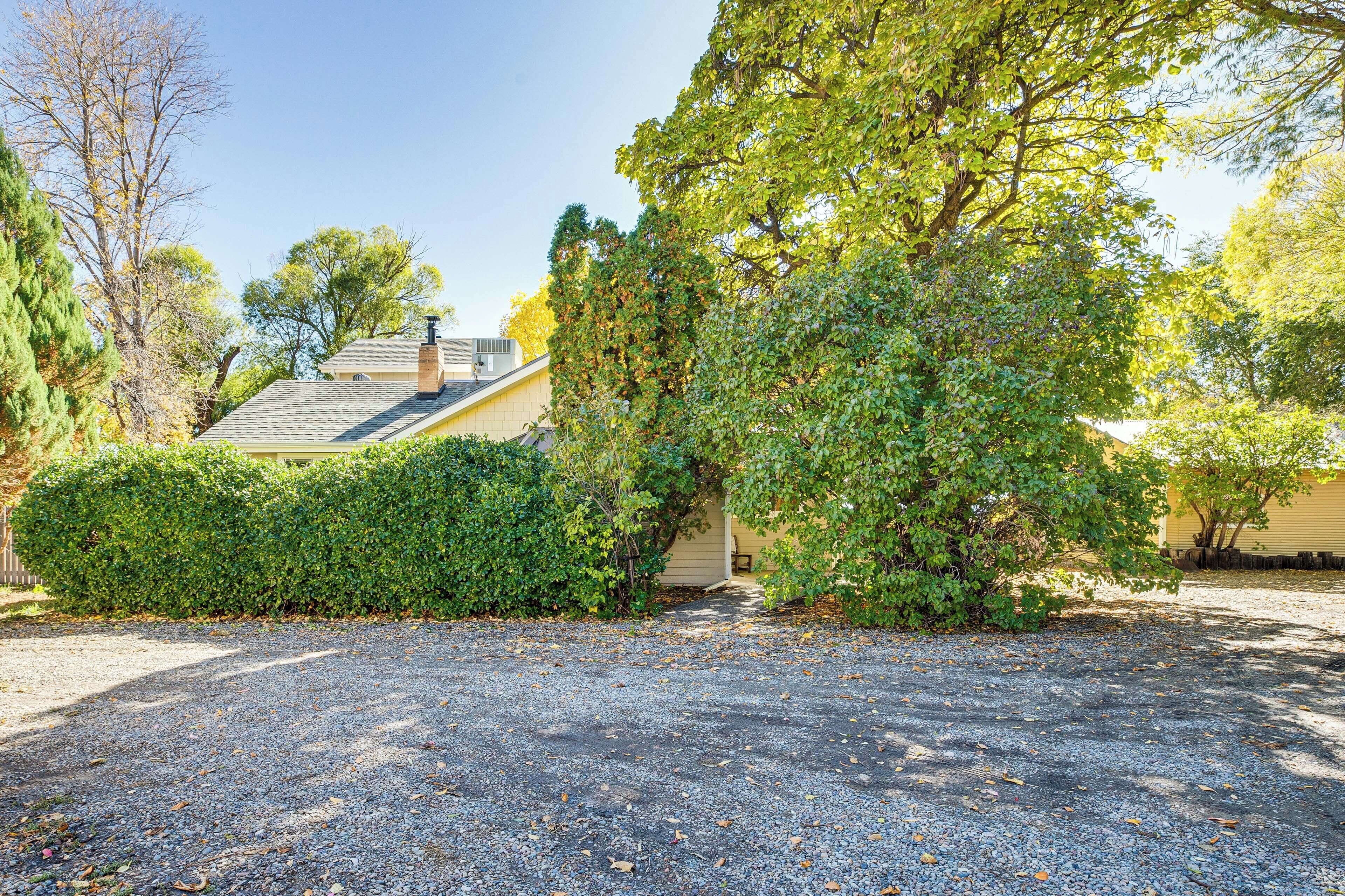 A residential driveway with a gravel surface, surrounded by dense green shrubbery and trees.