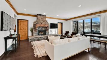 Televisión, chimenea, reproductor de DVD y libros