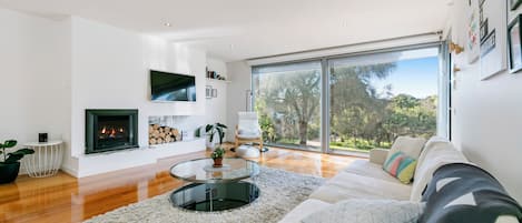 Smart TV, chimenea, oficina