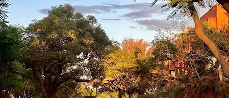 Terrain de lâhĂ©bergement