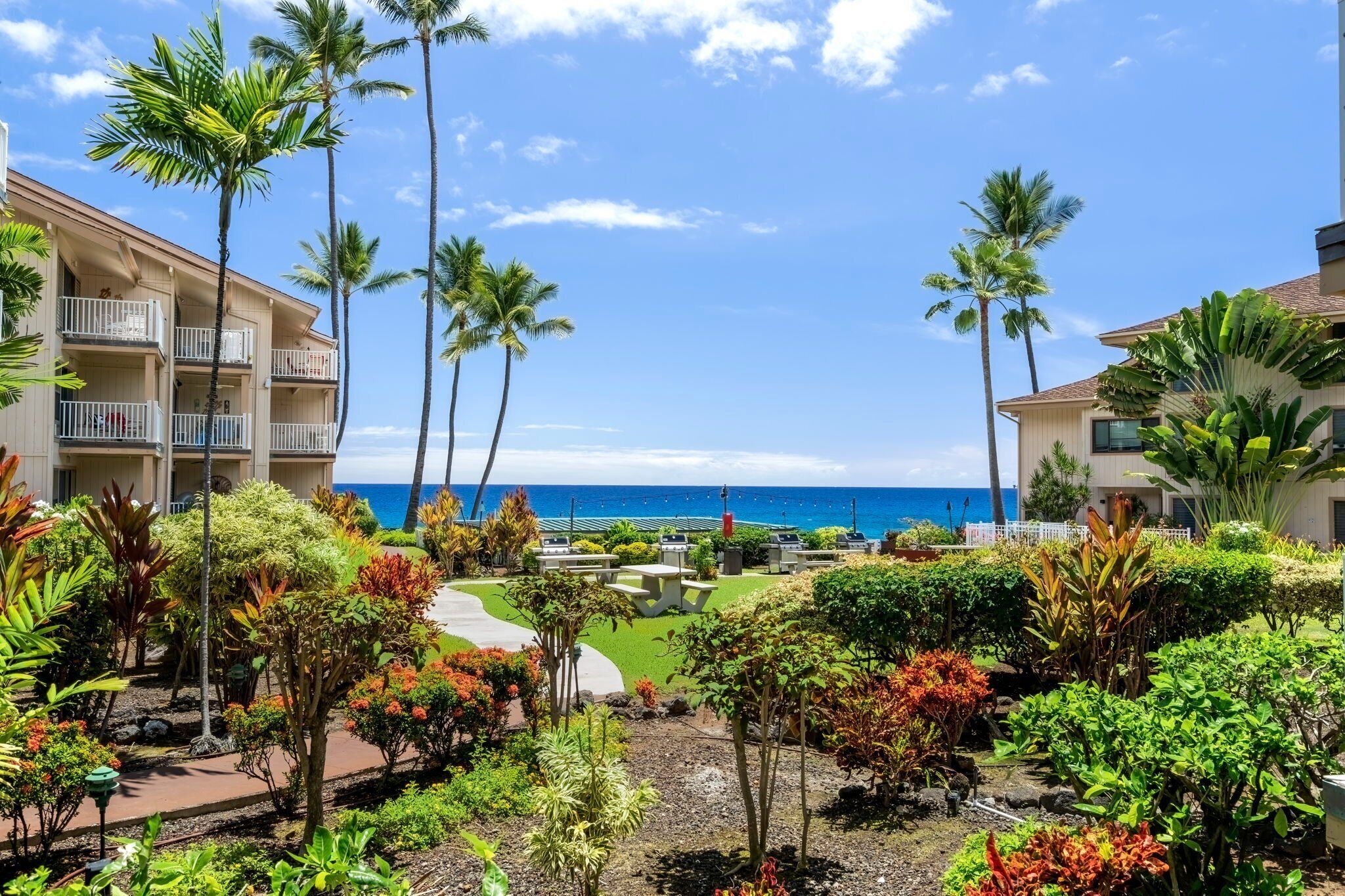 A resort with a pool area, palm trees, and a view of the ocean.