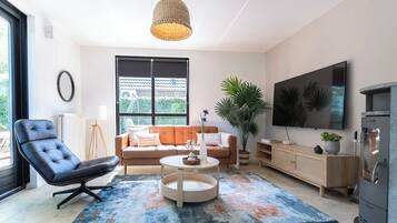 Fernseher, Arbeitsbereiche