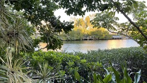 Una vista tranquila del lago rodeado de abundante vegetación y un puente de madera.