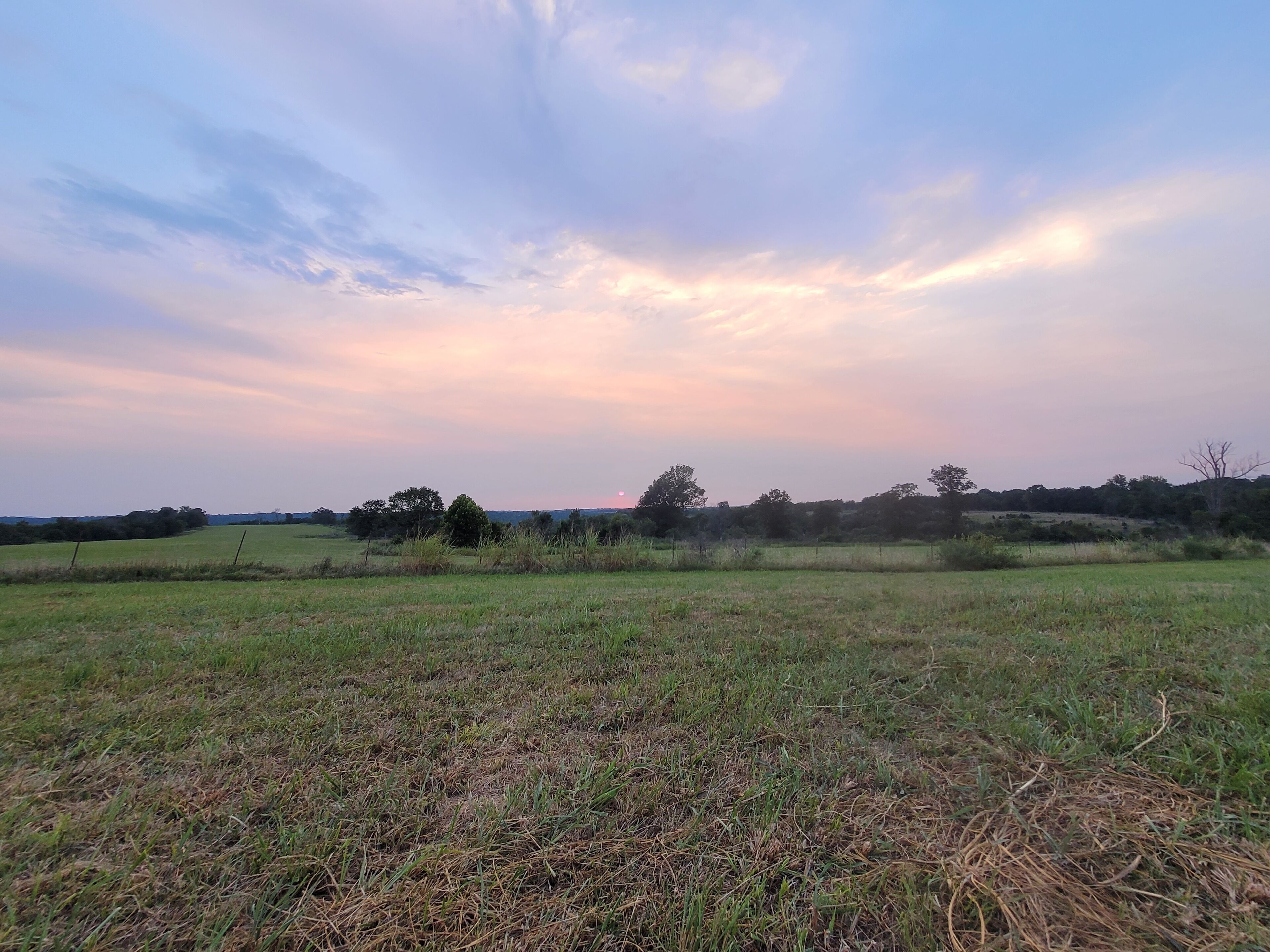 Un vaste champ à perte de vue, avec un coucher de soleil à l’horizon et quelques arbres dispersés.