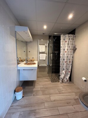 Dusche, Haartrockner, Handt ücher, Seife