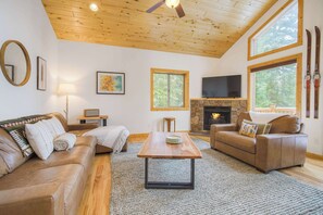 Télévision, cheminée, espaces bureaux