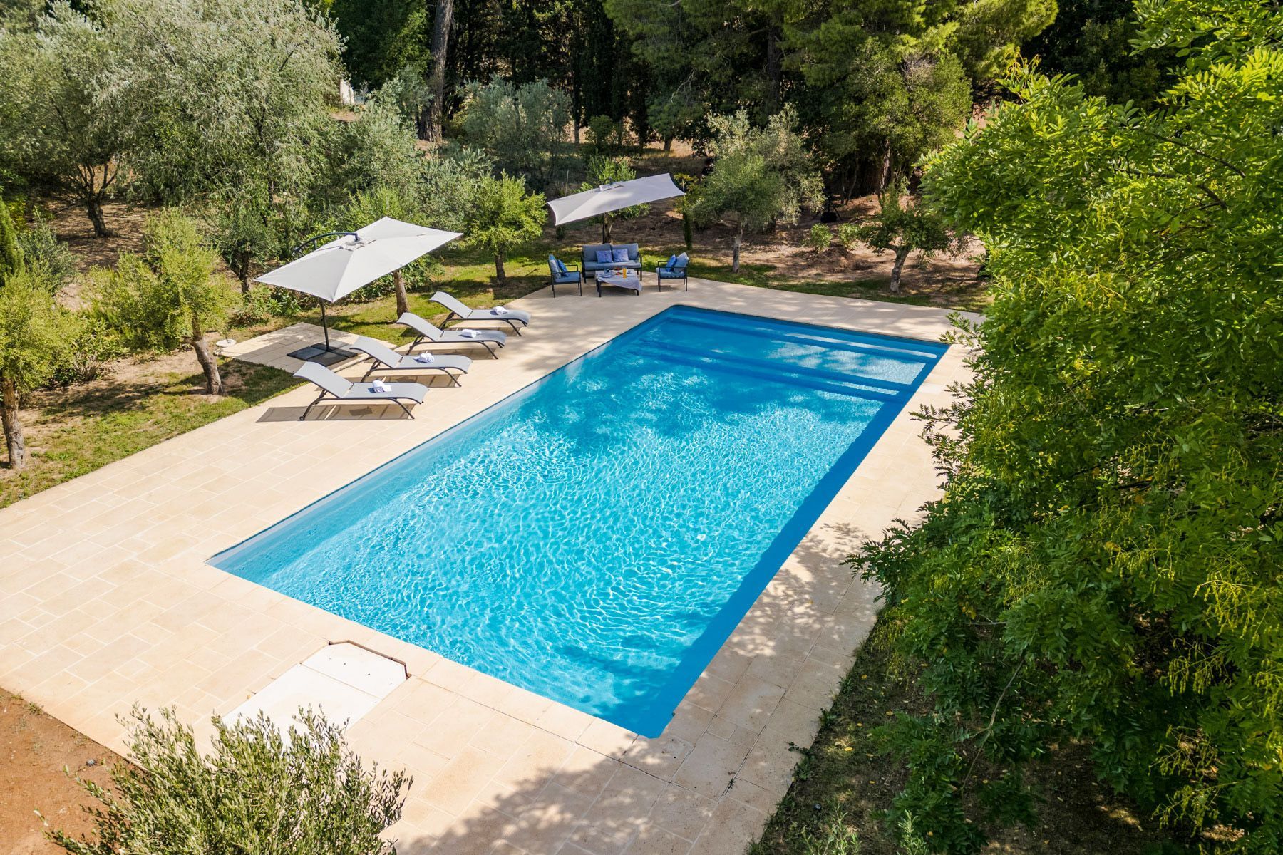 A rectangular swimming pool with lounge chairs and umbrellas, surrounded by greenery.