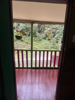 Infusión secreta | Terrace/patio - Cabañas el Portal (Santa Rosa de Cabal)