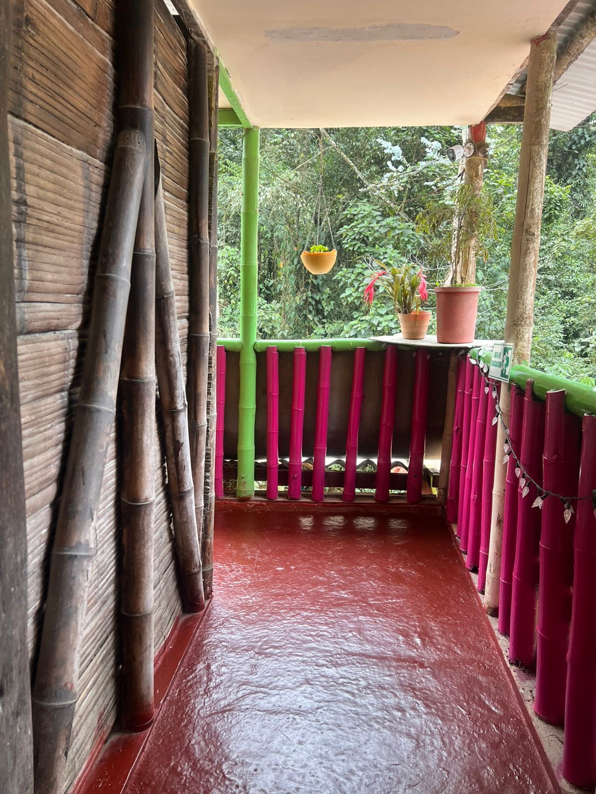 Aroma del Deseo | Mountain view