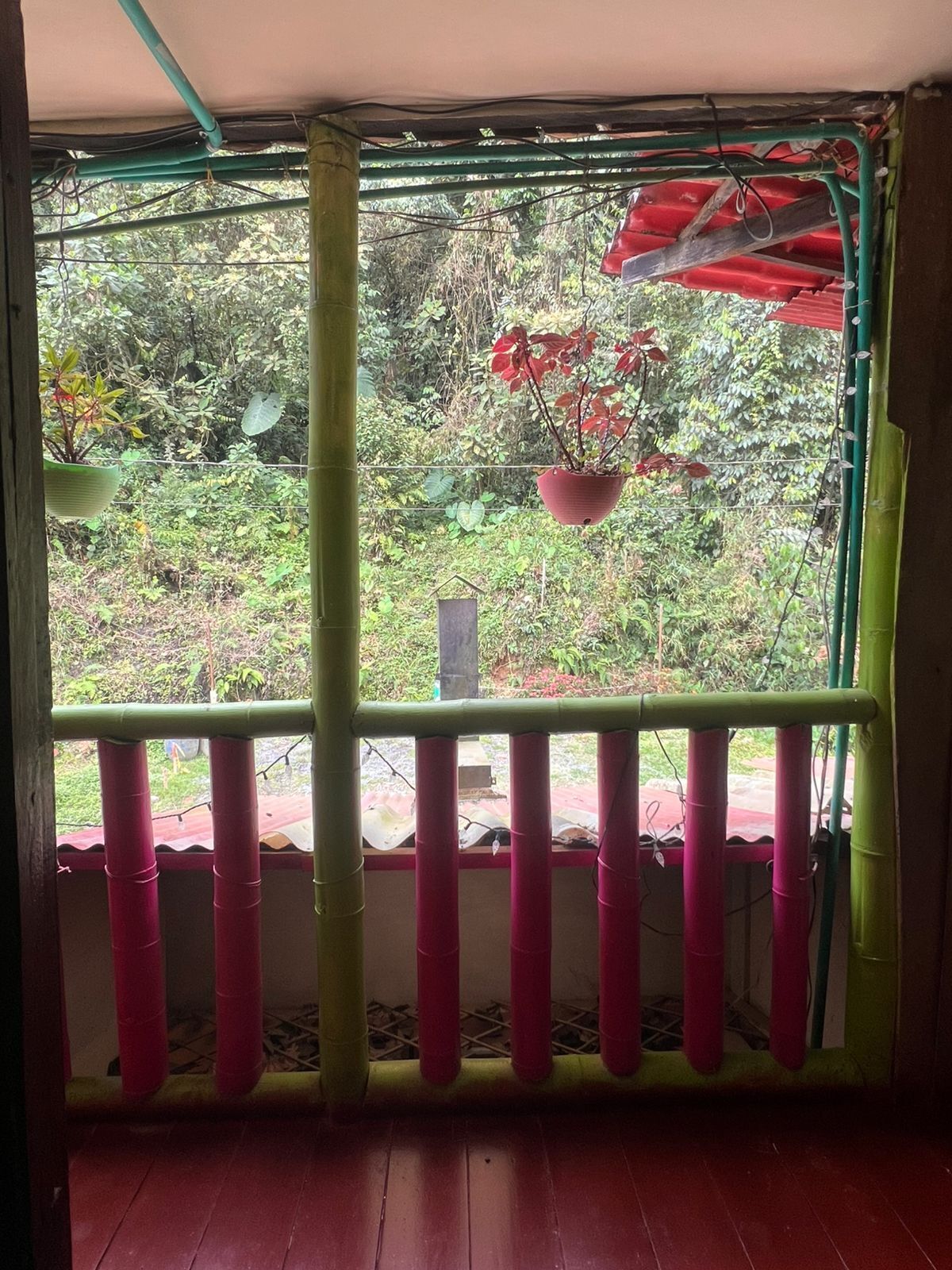 Cafe seducción | Terrace/patio