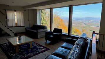 Televisión y chimenea