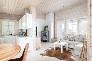 Una televisión, una chimenea, libros