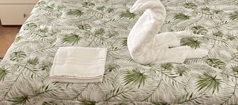 Da Colomba city center