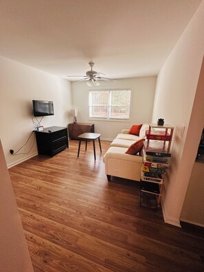 تلفزيون، مدفأة