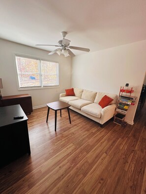 تلفزيون، مدفأة