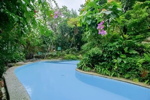 Una piscina curva rodeada de exuberante vegetación y diversas plantas.