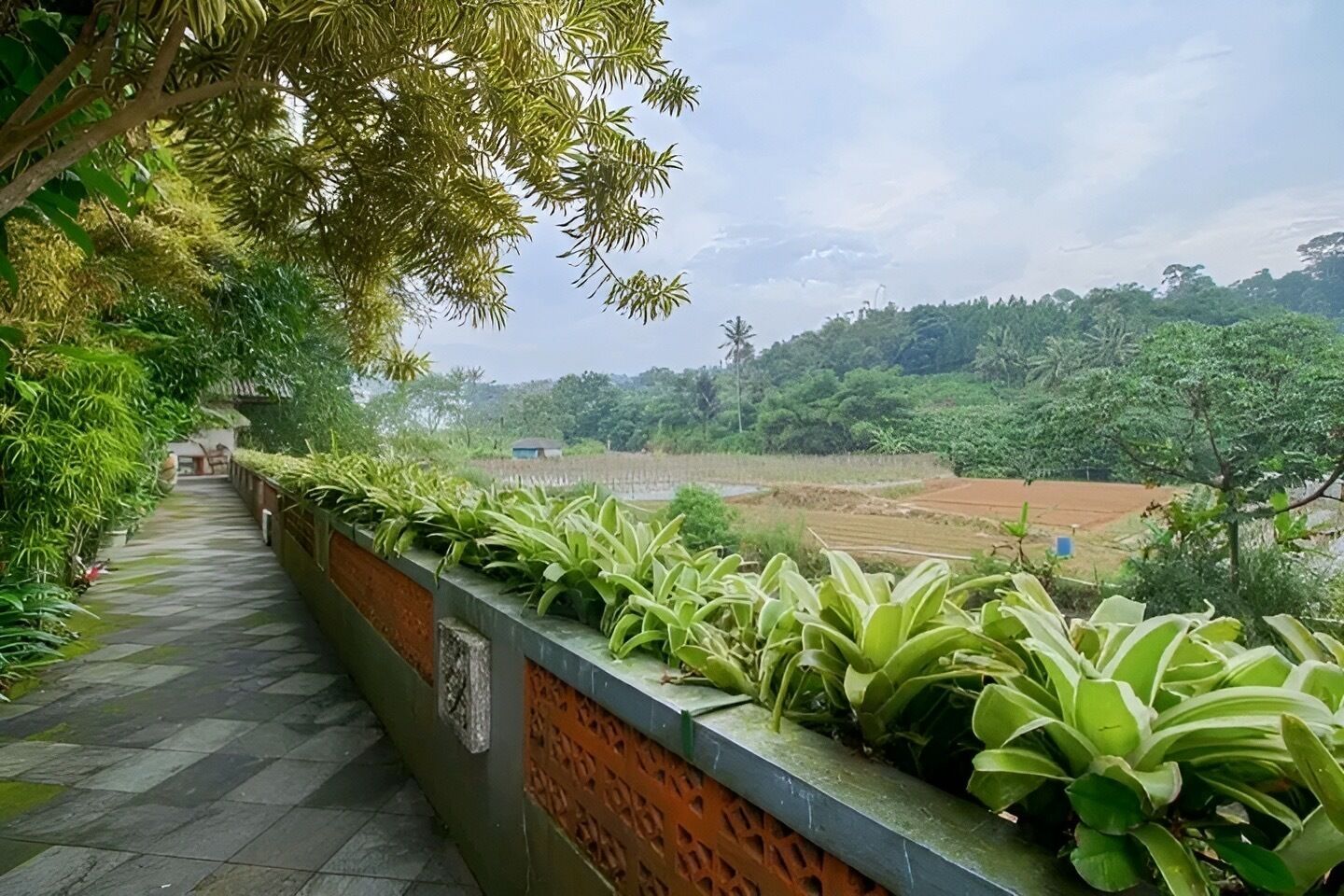 Pemandangan dari hartanah