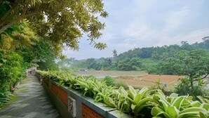 Uma trilha bordeada por vegetação exuberante, que leva a uma vista de campos em socalcos e árvores ao longe.