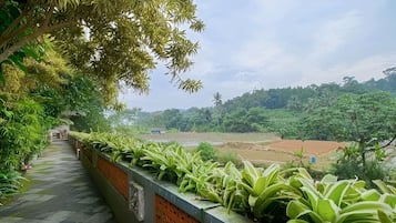 Pemandangan dari hartanah